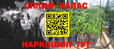 spice Рыбинск