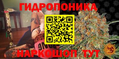 spice Рыбинск