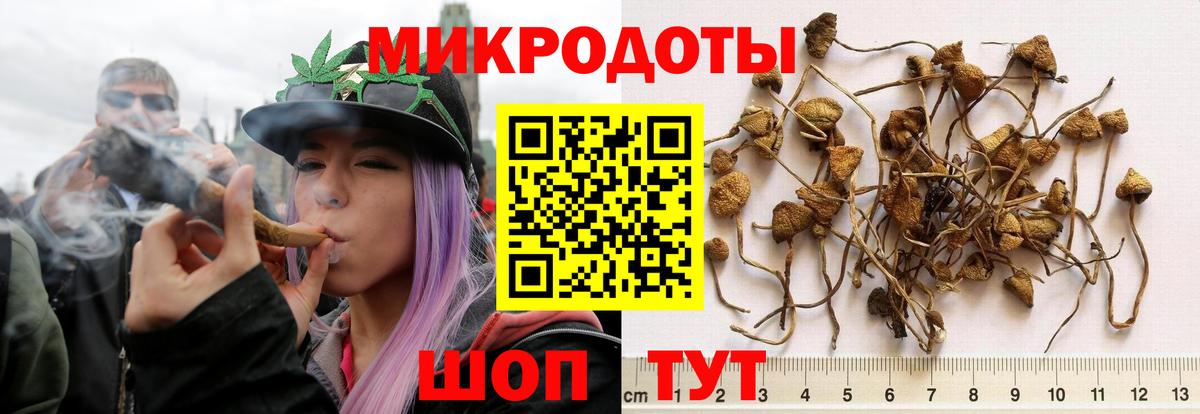 Псилоцибиновые грибы MAGIC MUSHROOMS  Псилоцибиновые грибы Psilocybe  Вход с VPN  Реж 