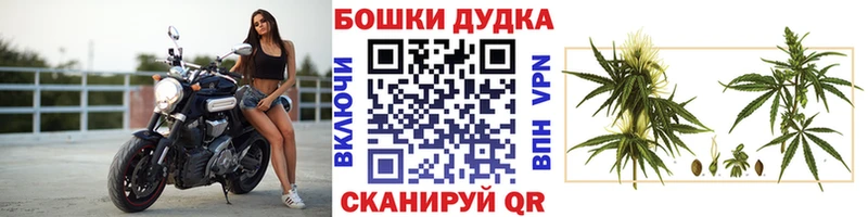 Конопля OG Kush Реж