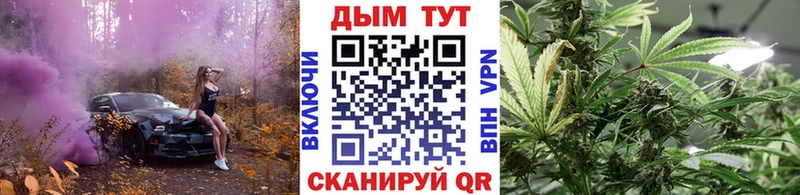 OMG   Реж  Канабис Amnesia  наркошоп 